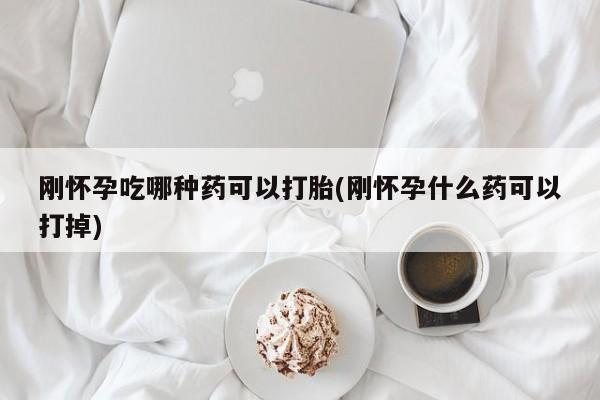 私人店有打胎药吗刚怀孕吃哪种药可以打胎(刚怀孕什么药可以打掉)