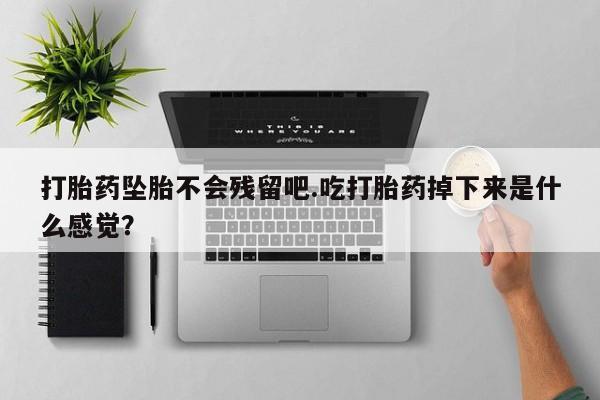 私人店有打胎药吗打胎药坠胎不会残留吧.吃打胎药掉下来是什么感觉？