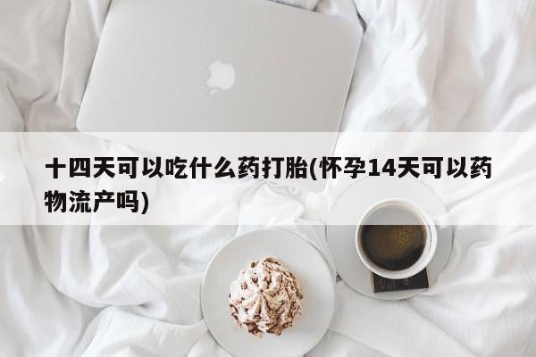 私人店有打胎药吗十四天可以吃什么药打胎(怀孕14天可以药物流产吗)